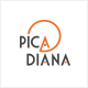 preview logo picadiana